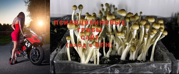таблы Белокуриха