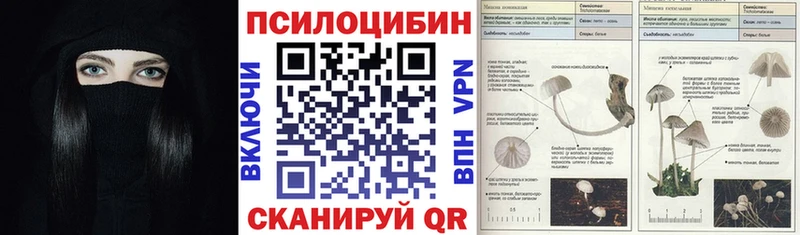 Купить закладки  Пролетарск  Псилоцибиновые грибы Cubensis 